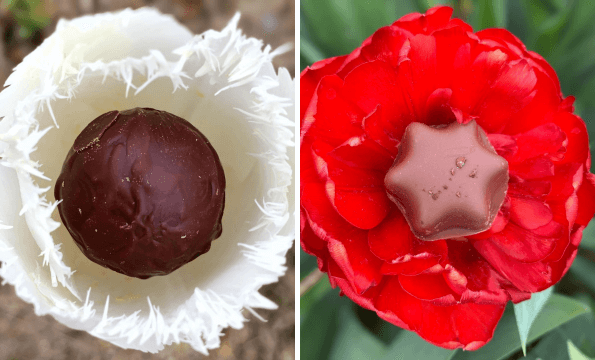 CHOCOLATERIE ECHALLENS | 2 chocolats offerts