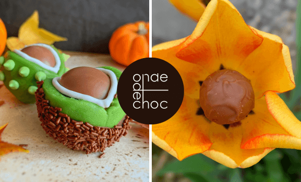CHOCOLATERIE ECHALLENS | 2 chocolats offerts
