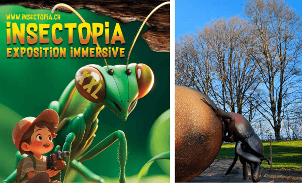 INSECTOPIA EXPOSITION IMMERSIVE | Entrée offerte